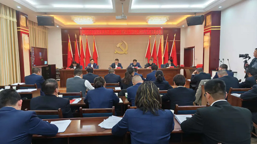 亚盛绿鑫集团召开党组织书记抓基层党建工作述职评议暨2025年党建工作会议