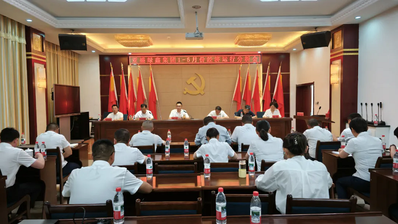 亚盛绿鑫集团组织召开1-5月经济运行分析会